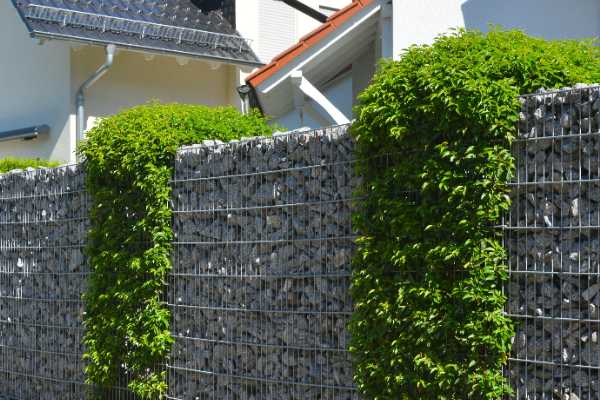 Gabione aus Doppelstabmatte